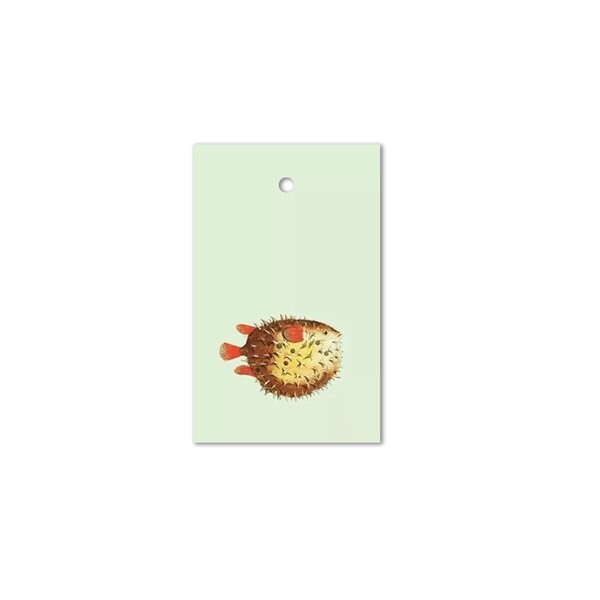 Gossip Geschenkanhänger mit Fisch Gossip Geschenkanhänger mit Fisch