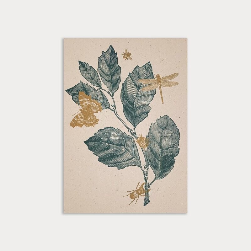 Karte mit Insekten Rustic Natur Karte mit Insekten Rustic Natur