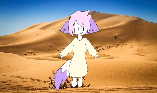 Support/Donate Chaya Here