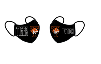 Tiger Face Mask