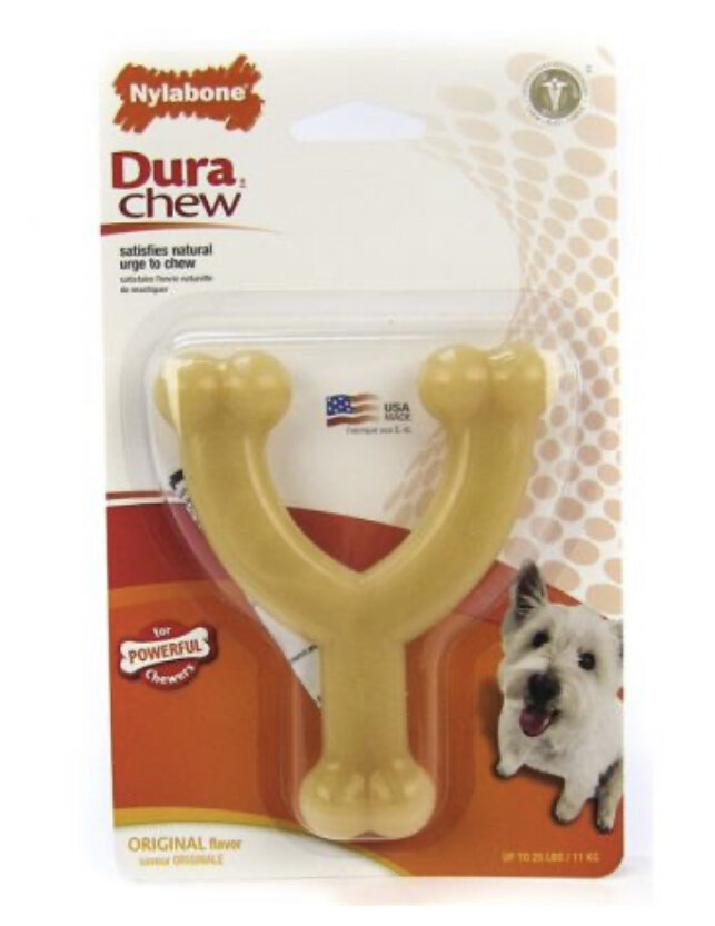 nylabone power chew wishbone