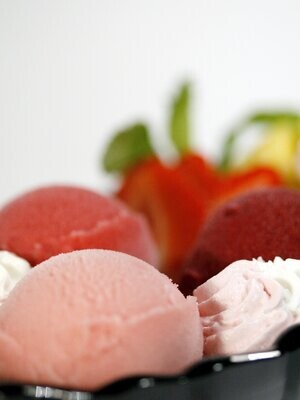 Nos Sorbets Plein Fruit
