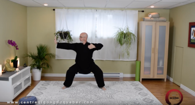 Cours en ligne / Online class