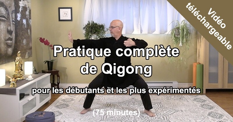 Pratique de Qigong pour les débutants et plus expérimentés en haute définition (HD)