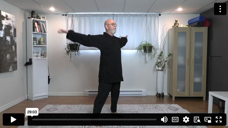 Séquence d'Articulations, Tendons et Ligaments avec noms des mouvements (28 minutes)