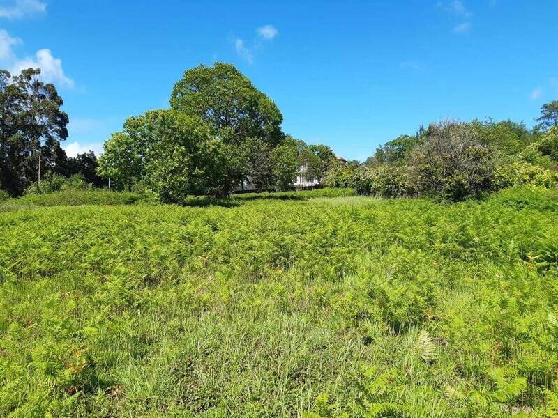 Calambeo - Lote en Venta - Ibagué
