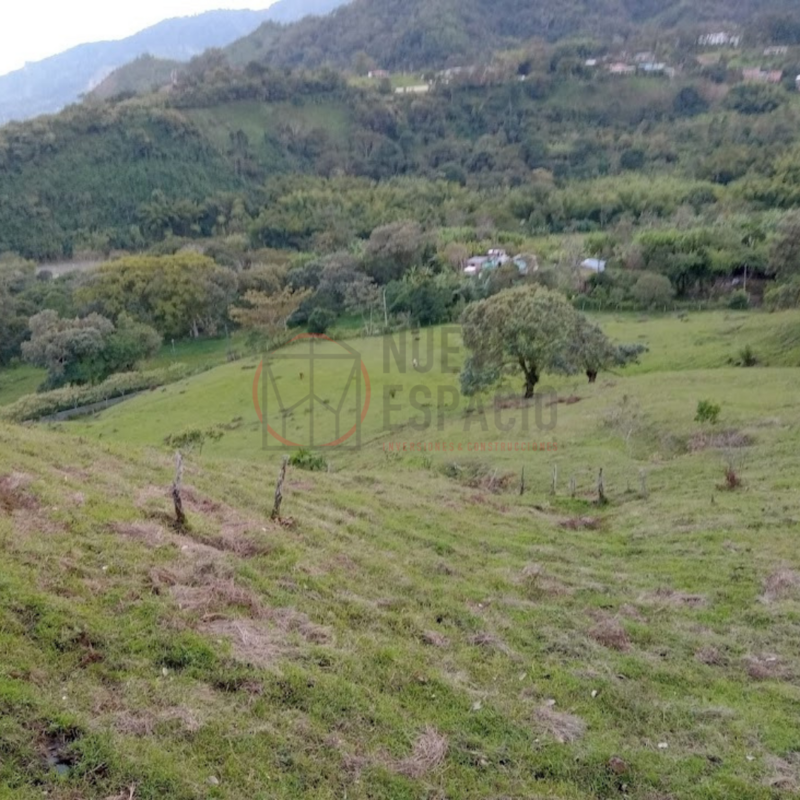 Finca - Via  Ibague  -  Chapeton