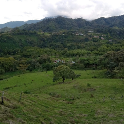 FINCAS
