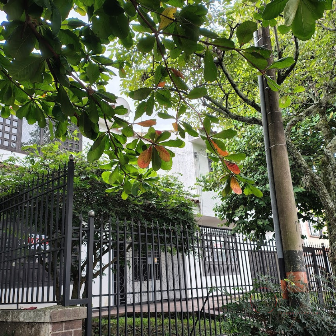 Arriendo Local Comercial  Ibagué - Interlaken