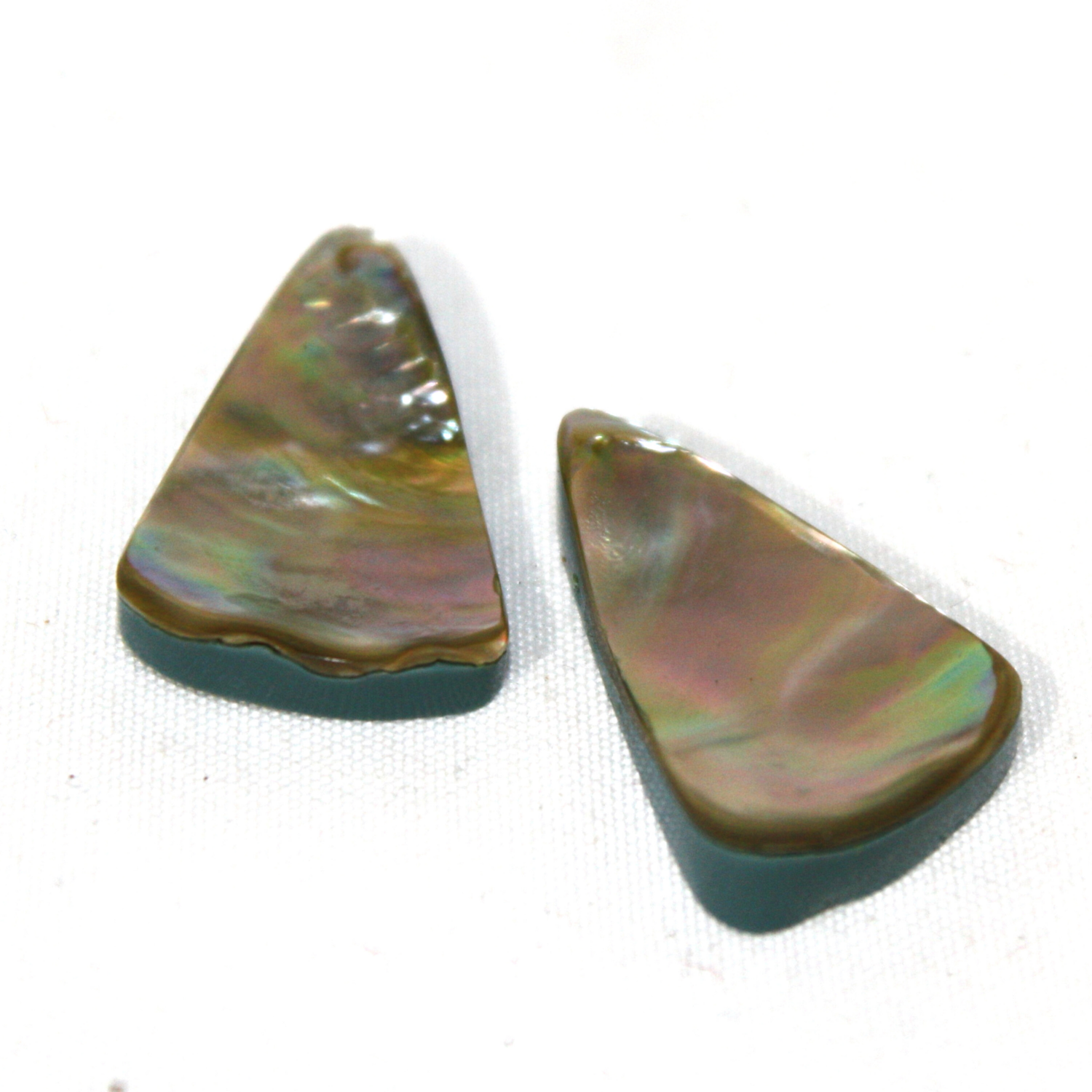 PAR CABUJON CONCHA ABULON