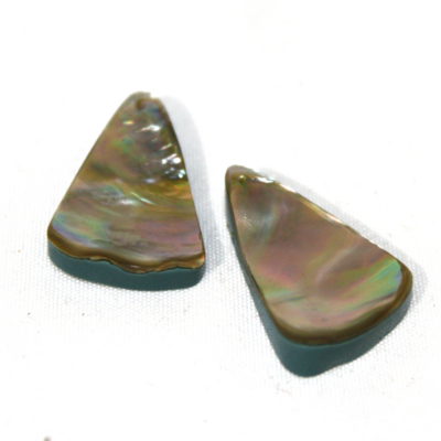 PAR CABUJON CONCHA ABULON