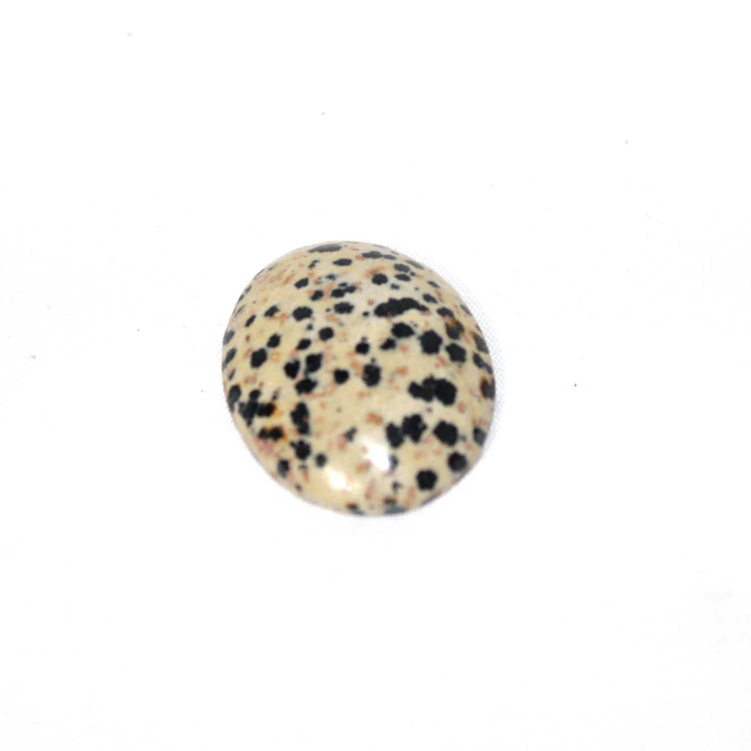 CABUJON  JASPE  DALMATA