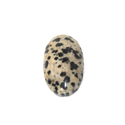 CABUJON GOTA JASPE  DALMATA