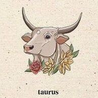 TAURO