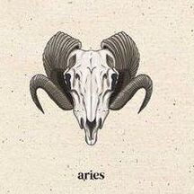 ARIES