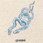 GEMINIS