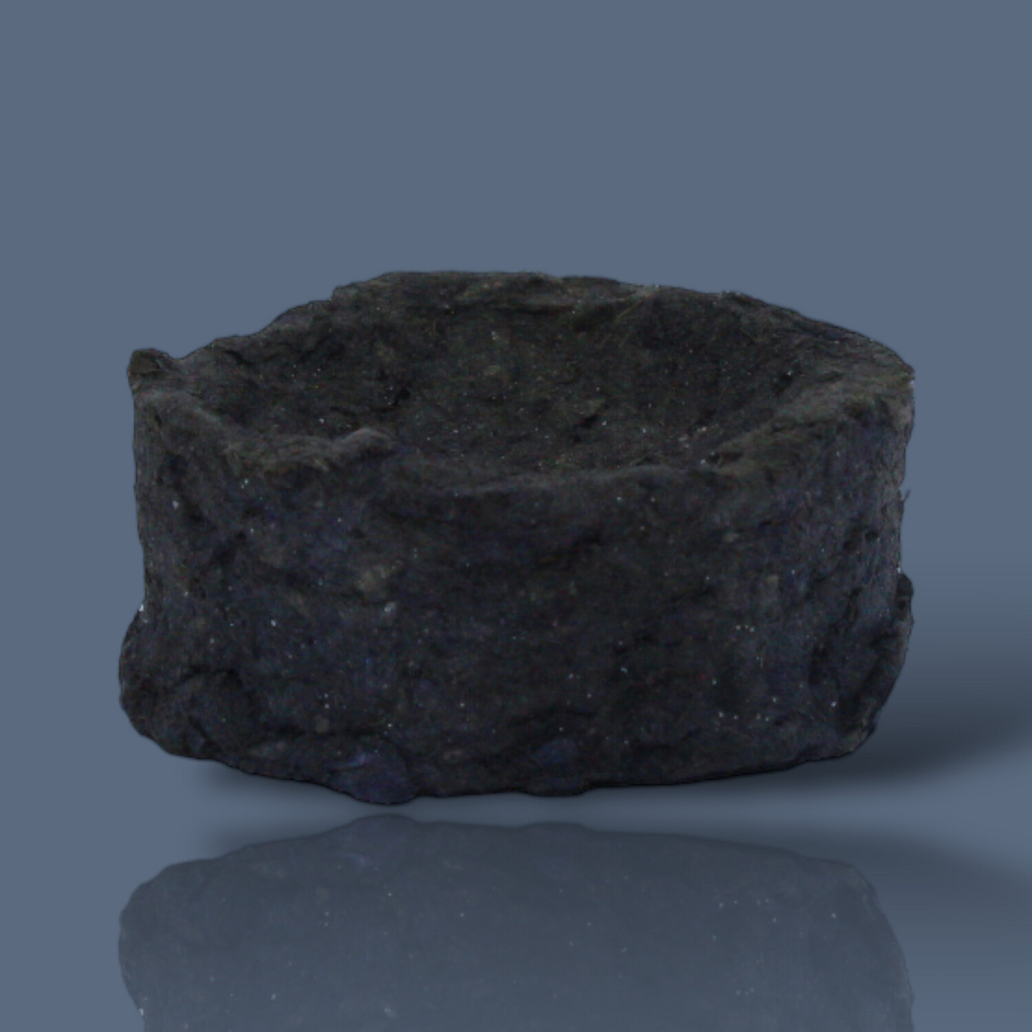 CARBON VEGETAL PAQUETE DE 10