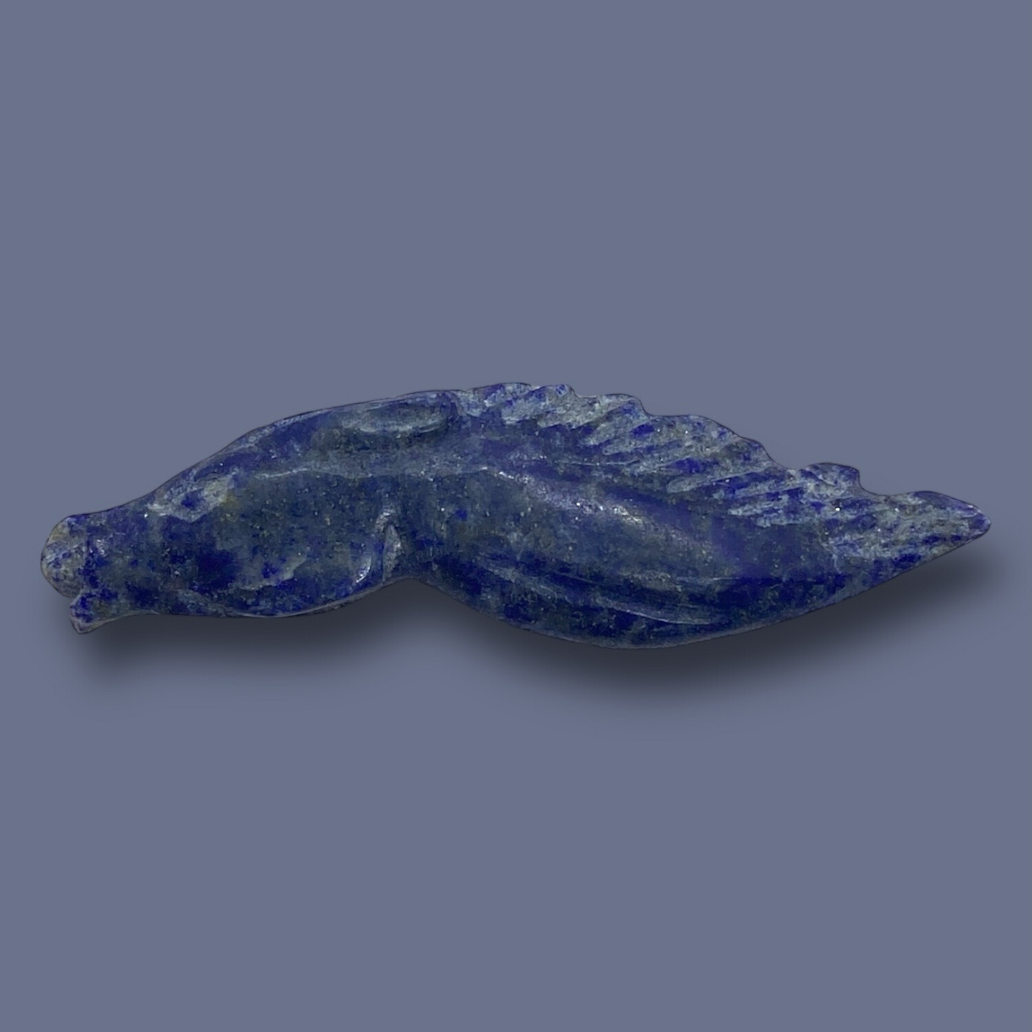 CABALLO PERFIL DE LAPISLAZULI
