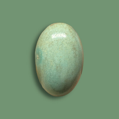 CABUJON TURQUESA OVAL 20mm