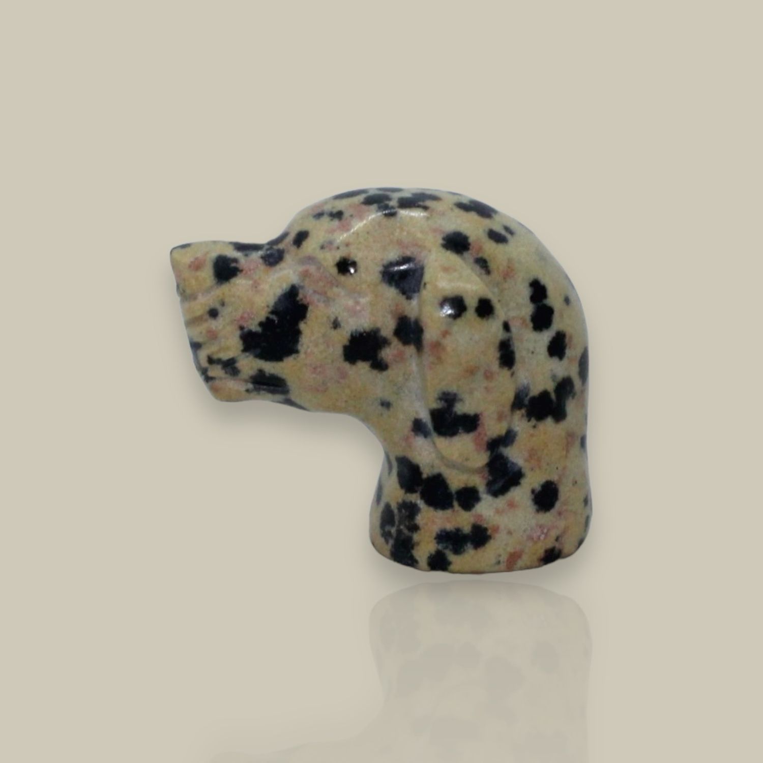 PERRO DE JASPE DALMATA