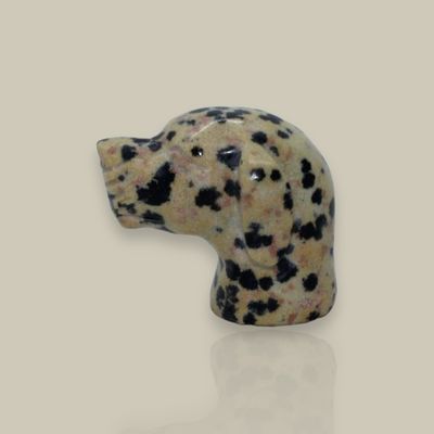 PERRO DE JASPE DALMATA