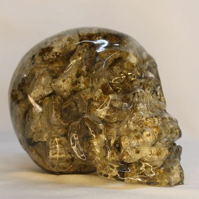 CRANEO RESINA CON GRANATE