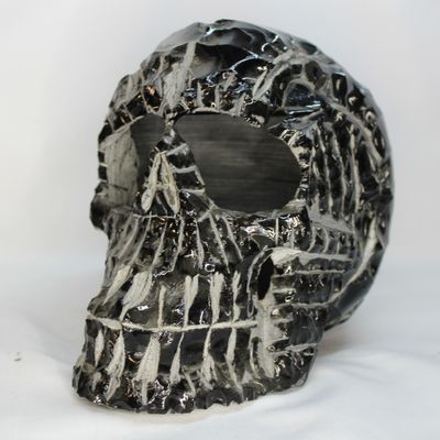 CRANEO OBSIDIANA NEGRA