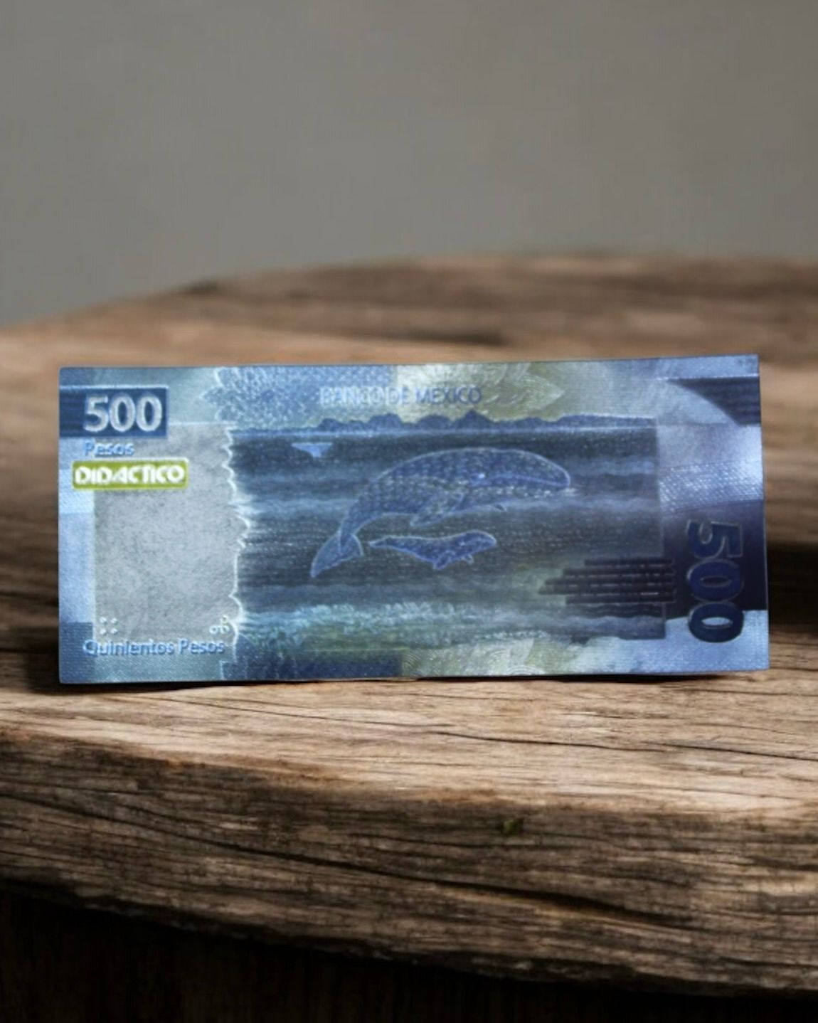 500 PMX
