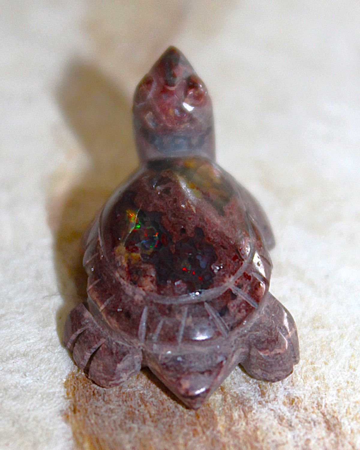 TORTUGA DE OPALO