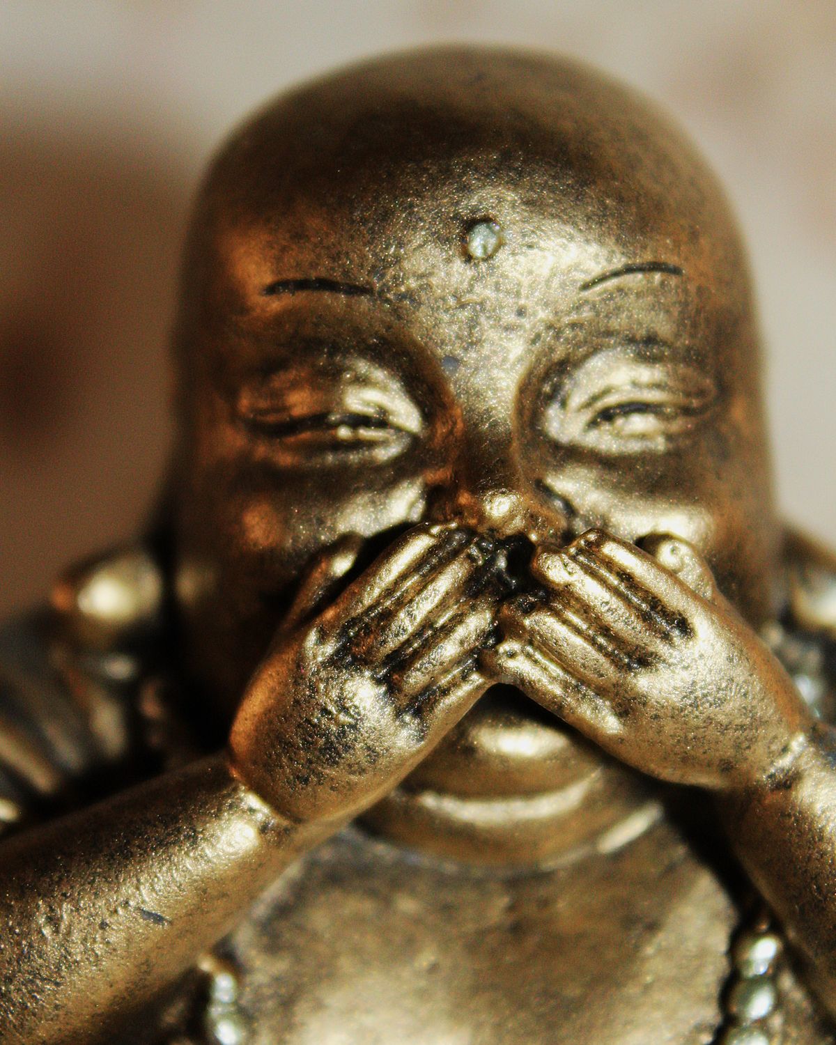 BUDA 3 VIRTUDES