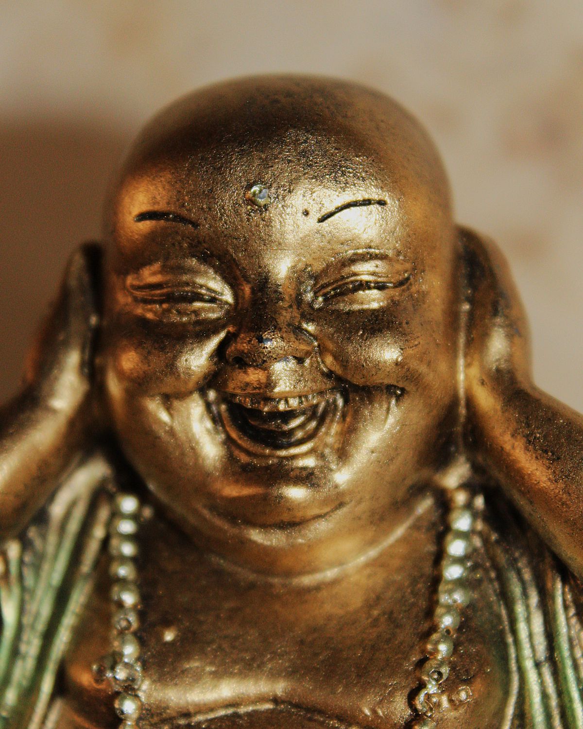 BUDA 3 VIRTUDES