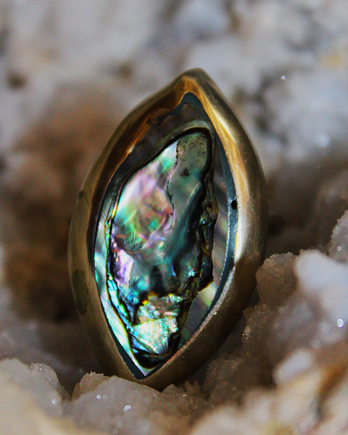 ANILLO CONCHA DE ABULON