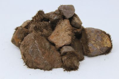 MAGNETITA