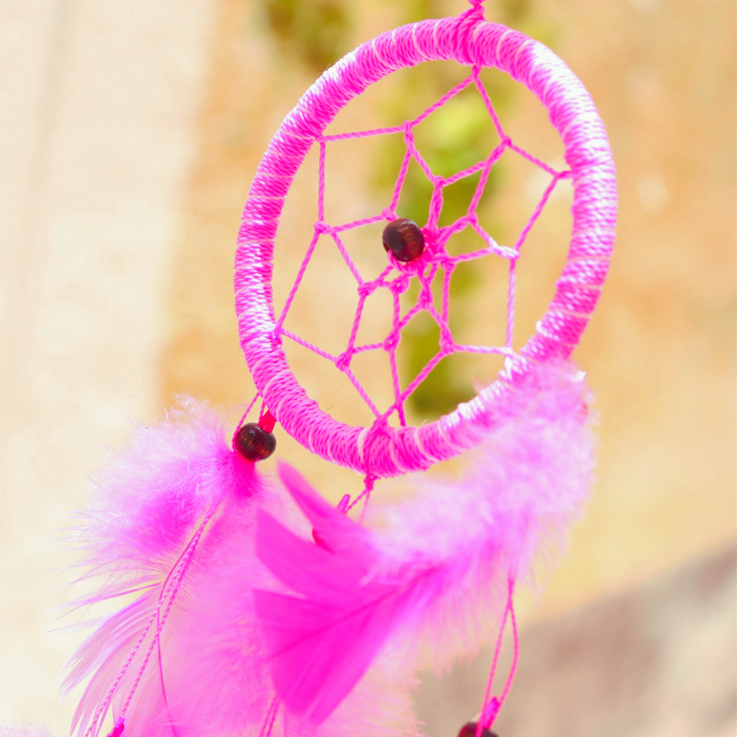 ATRAPA SUEÑOS