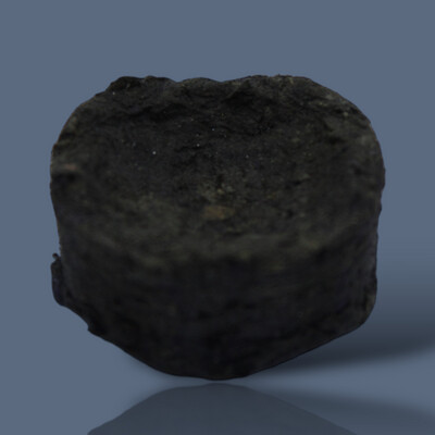 CARBON VEGETAL PAQUETE DE 10