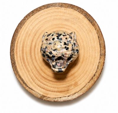 CABEZA JAGUAR JASPE DALMATA