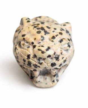 CABEZA JAGUAR JASPE DALMATA