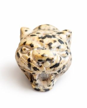 CABEZA JAGUAR JASPE DALMATA