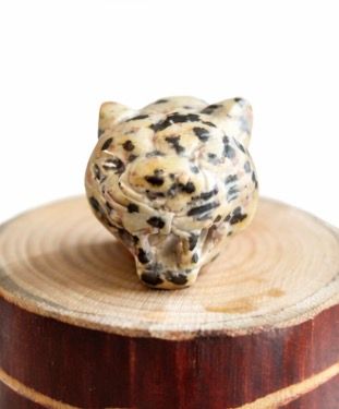 CABEZA JAGUAR JASPE DALMATA