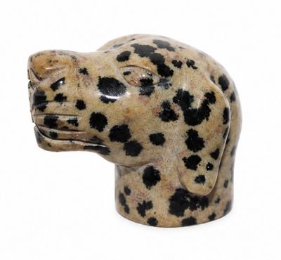 CABEZA PERRO DE JASPE DALMATA