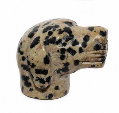 CABEZA PERRO DE JASPE DALMATA
