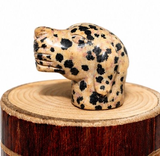 CABEZA PERRO DE JASPE DALMATA
