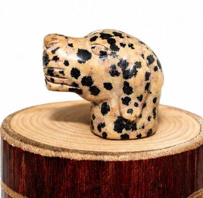 CABEZA PERRO DE JASPE DALMATA