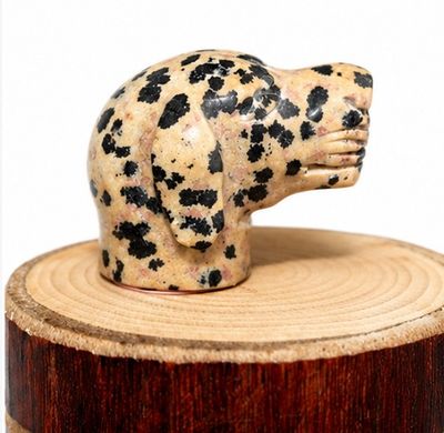 CABEZA PERRO DE JASPE DALMATA
