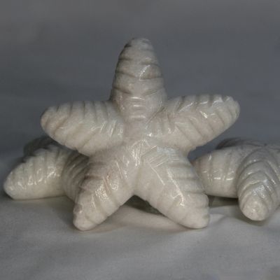ESTRELLA DE MAR DE MARMOL
