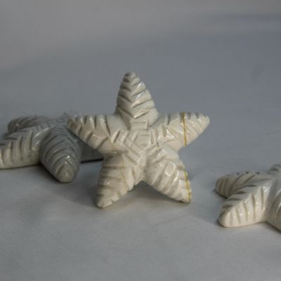 ESTRELLA DE MAR DE MARMOL