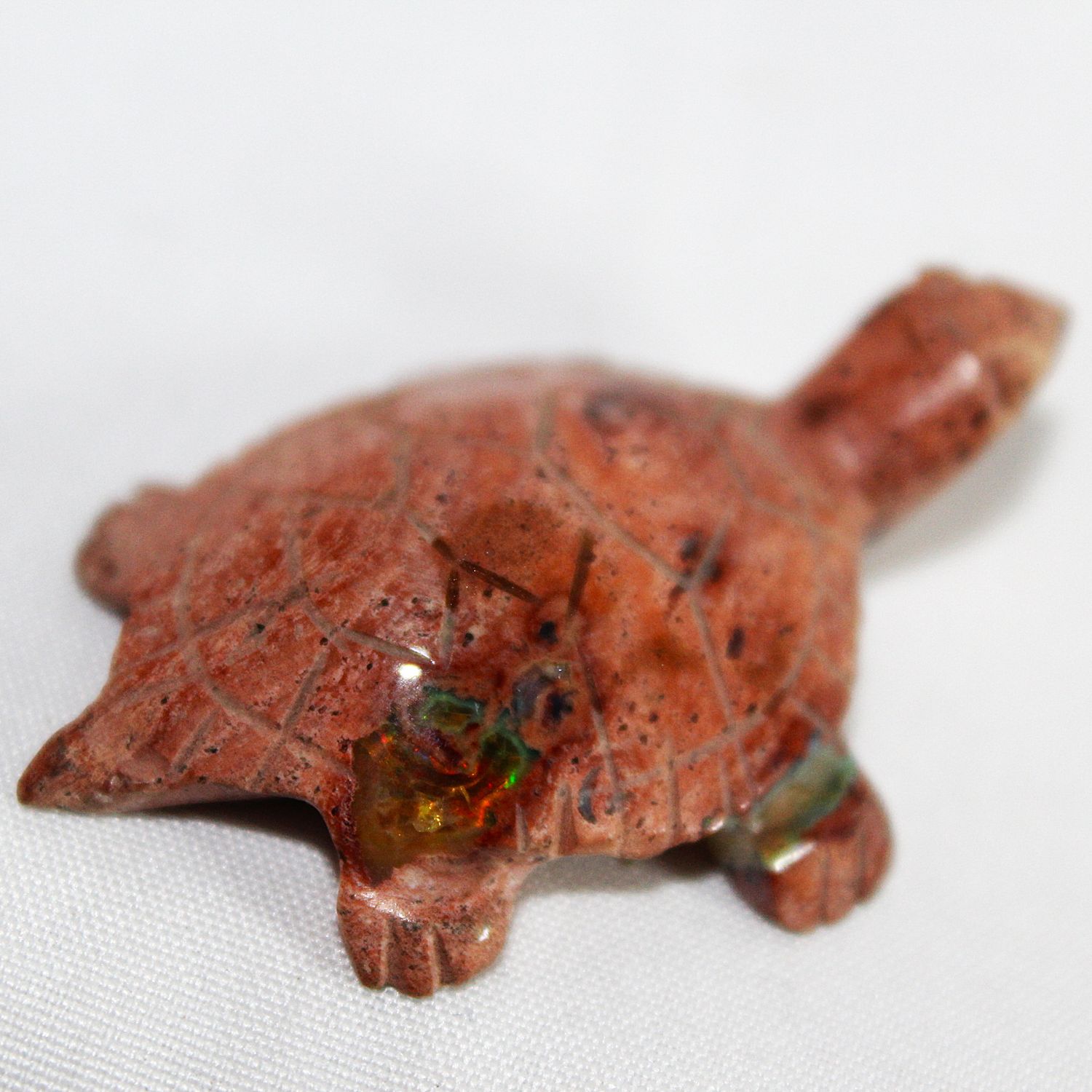 TORTUGA DE CANTERA Y OPALO