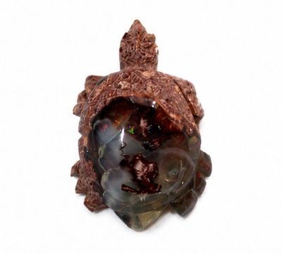 TORTUGA DE OPALO