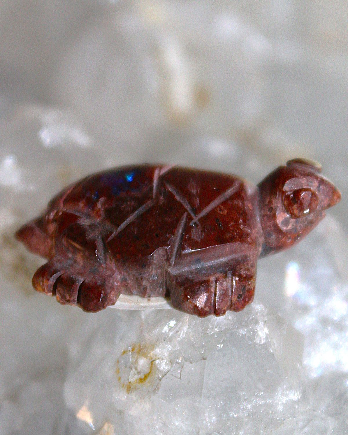 TORTUGA DE OPALO