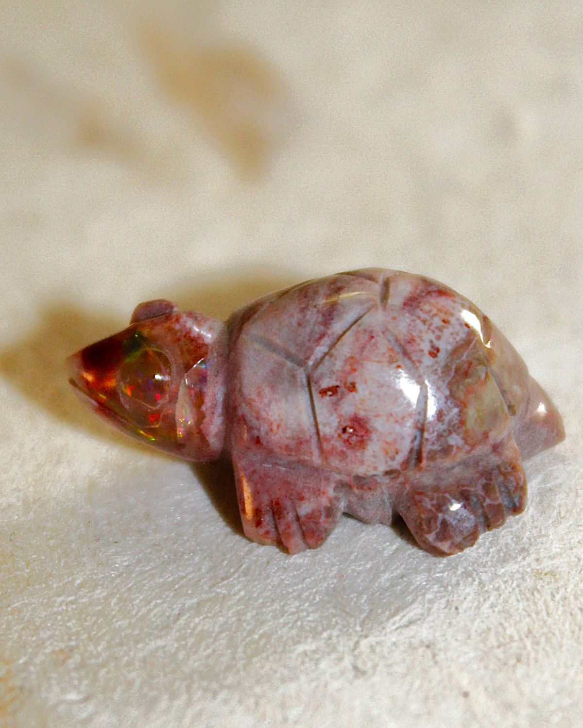 TORTUGA DE OPALO